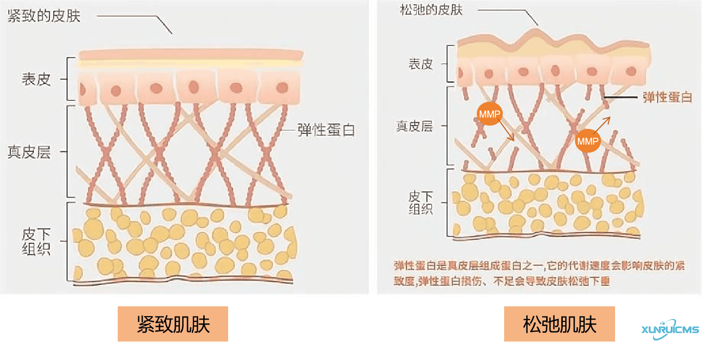 微信圖片_20240927163135 微信圖片_20240927163135