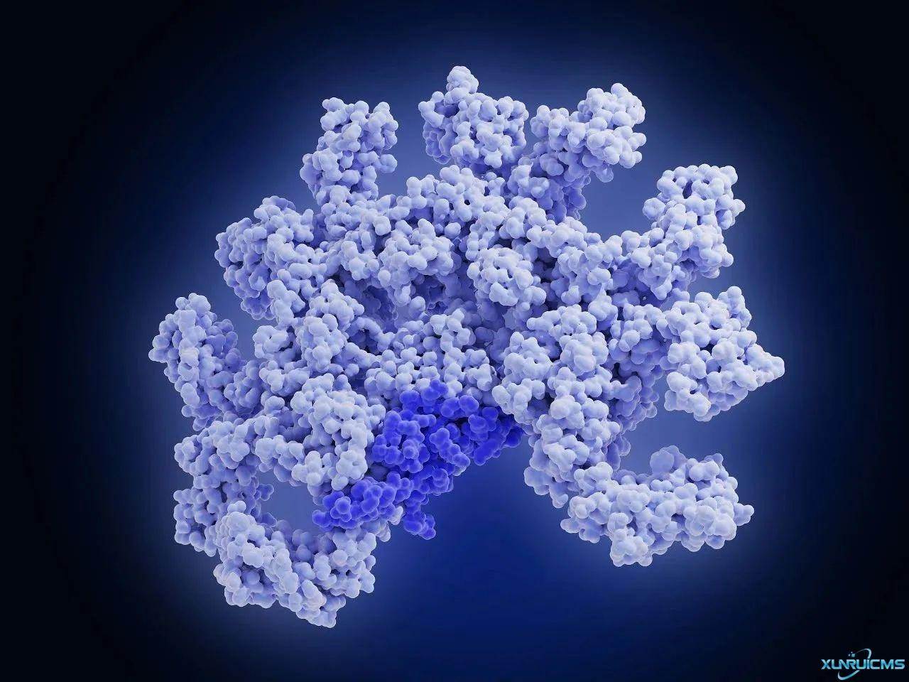 微信圖片_20241017142306 微信圖片_20241017142306