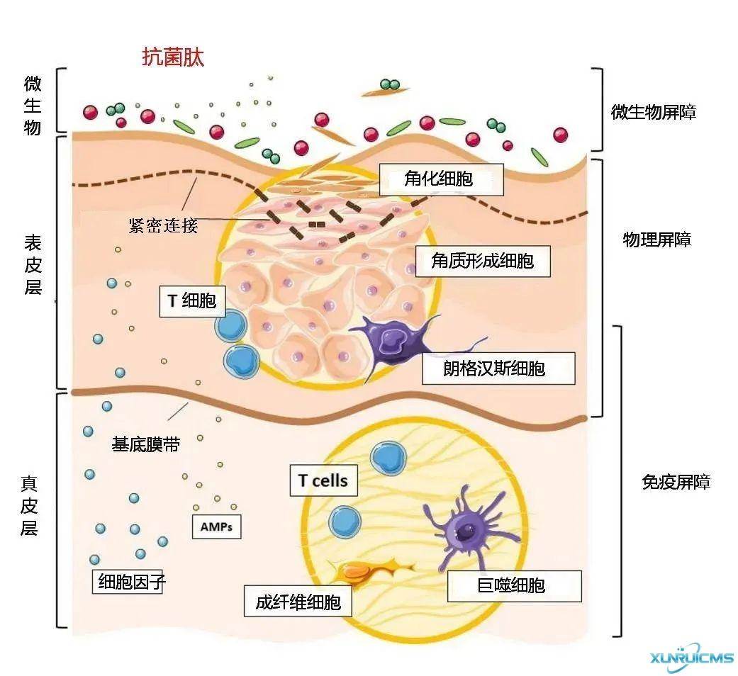微信圖片_20241017153324 微信圖片_20241017153324
