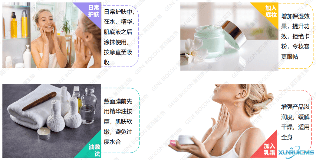 微信圖片_20241017155521 微信圖片_20241017155521