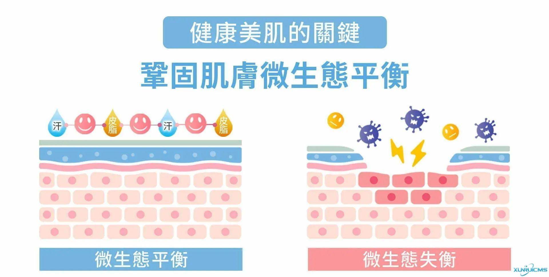 微信圖片_20241017155524 微信圖片_20241017155524