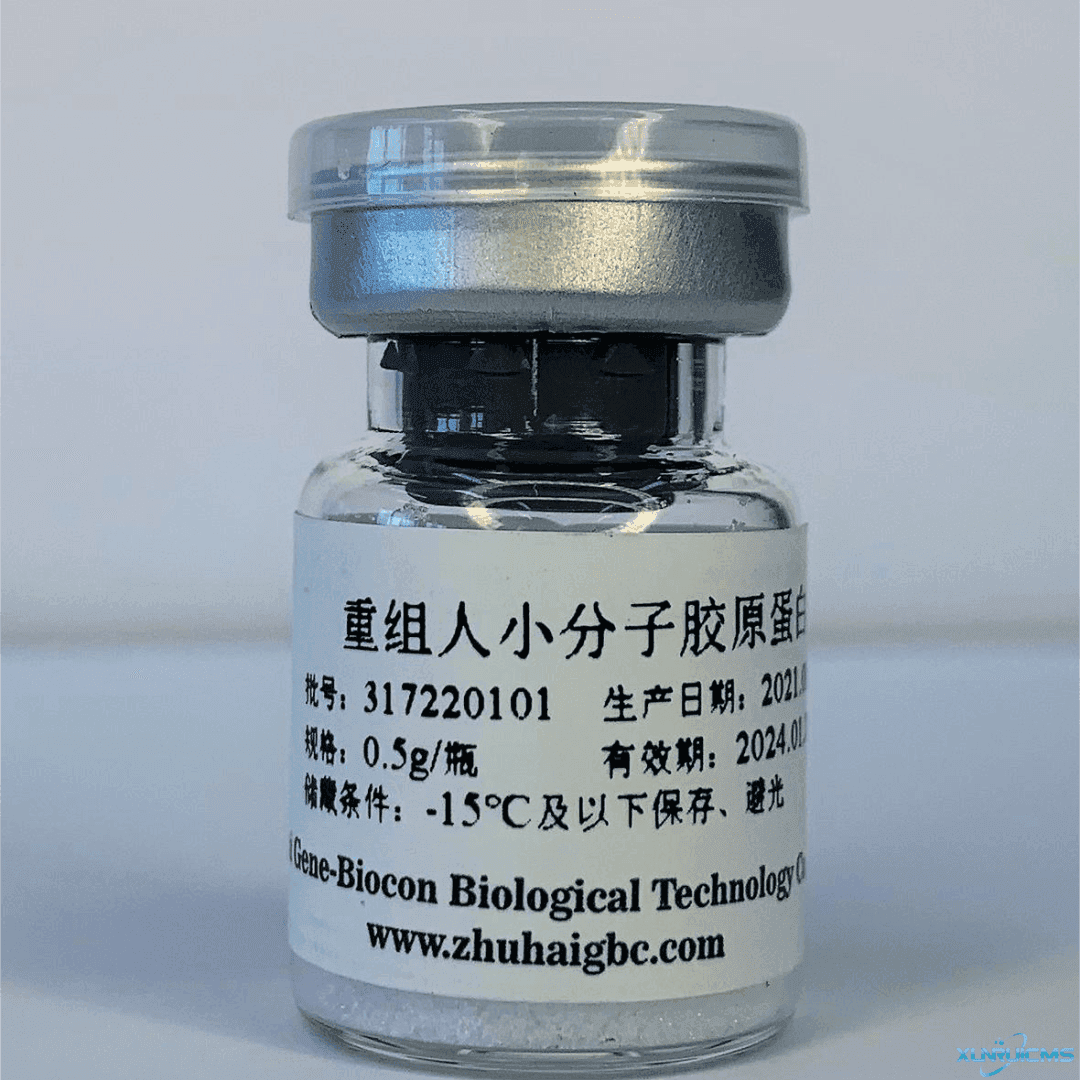 微信圖片_20241022115237 微信圖片_20241022115237