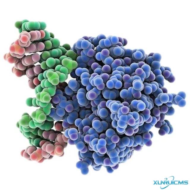 微信圖片_20241022161026 微信圖片_20241022161026