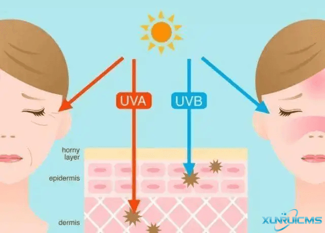 微信圖片_20241022164035 微信圖片_20241022164035