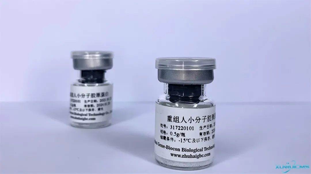 微信圖片_20241023091306 微信圖片_20241023091306