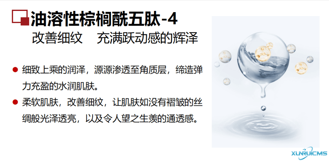 微信圖片_20241024100658