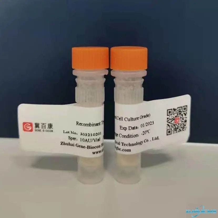 微信圖片_20241024105351 微信圖片_20241024105351