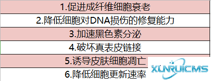 微信圖片_20241024153226