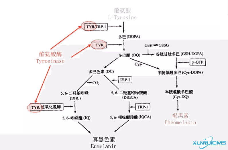 微信圖片_20241024211626 微信圖片_20241024211626