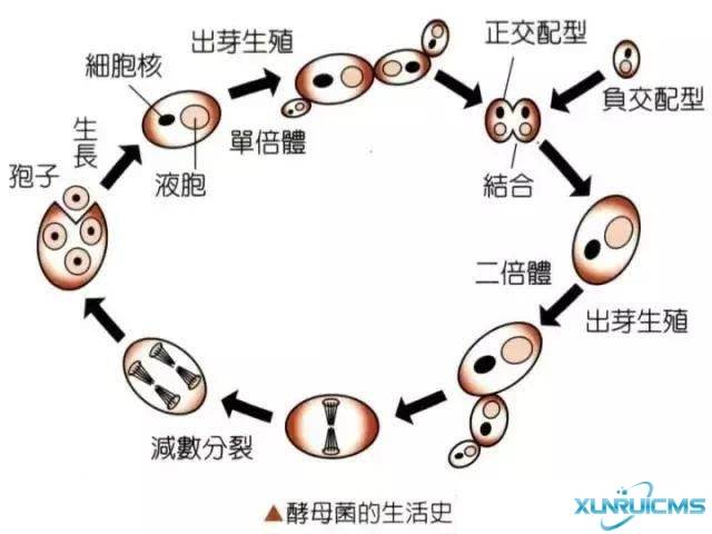 微信圖片_20241029100614 微信圖片_20241029100614