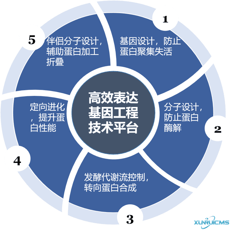 微信圖片_20241030101252